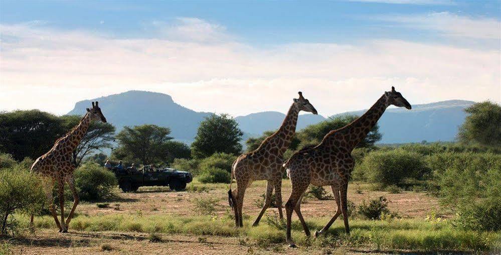 Hotel Marataba Safari Co Marakele National Park Esterno foto