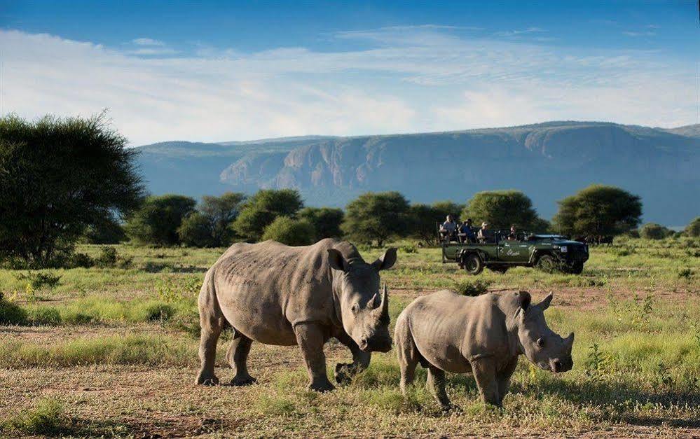 Hotel Marataba Safari Co Marakele National Park Esterno foto